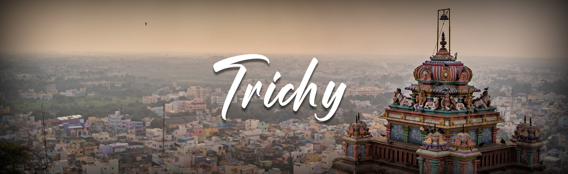 Hero image for Trichy